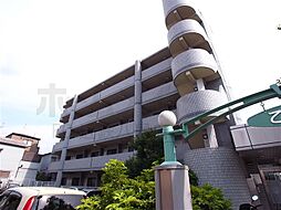 乙菊