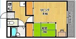 ラフェスタ加東 305