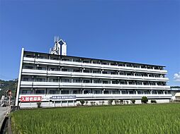 ウイングス北平野 301