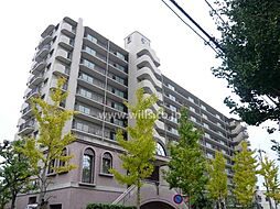 伊丹市西野７丁目