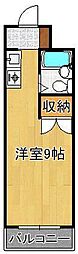 ＰＬＥＡＳＴ枝光