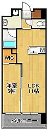 ハイネス槻田