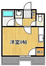 シティライフ新池