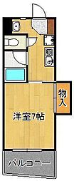 ターニップ小芝