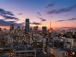 白金ザ・スカイ　東棟