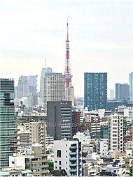 東京タワーを望む11階プレミスト白金