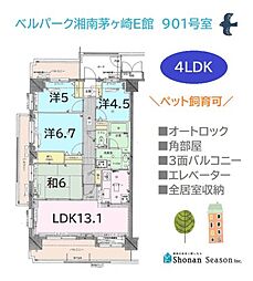 ベルパーク湘南茅ヶ崎E館 901号室