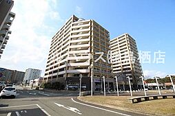 東峰マンション弥生が丘ステーションペサージュ　south棟 710
