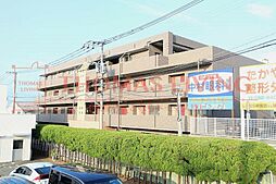 糟屋郡新宮町美咲１丁目