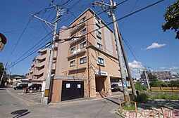 福岡市東区和白丘３丁目