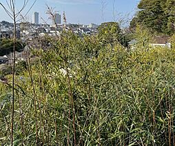 横須賀　県立大学