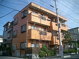 グローリィ・フラワー 302