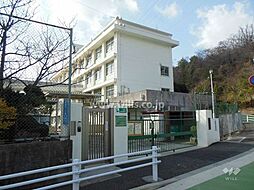 神戸市東灘区住吉山手1丁目 一戸建て