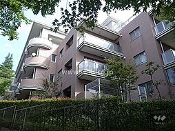 セレッソコート御影ヒルズ緑望館