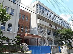 シップス本山