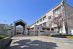 コスモシティ住吉川公園イースト