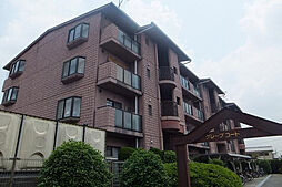 グレープ・コート