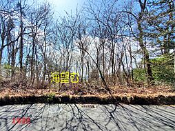 伊東市八幡野の土地