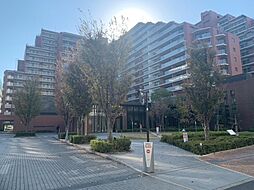 シティテラス東陽町