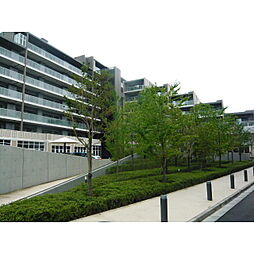 シティテラス小金井公園　A棟