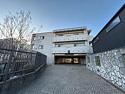 アデニウム菊名