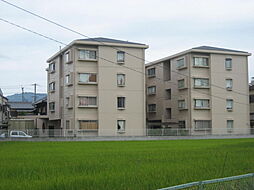 シティライフ北中 305