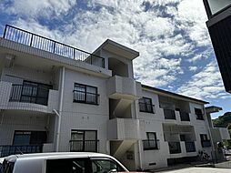 サンフェリカ 102