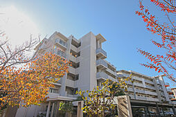 URアルビス緑丘