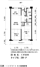 URくすの木