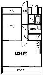 ダイアナ常盤ヒルズ 203