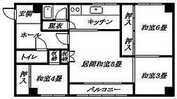 ルーベデンス 101