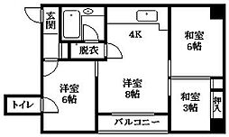 ルーベデンス 501