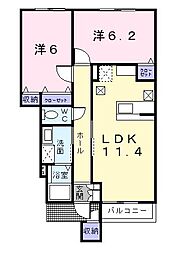 プリムラ