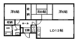 ハイエスト近文