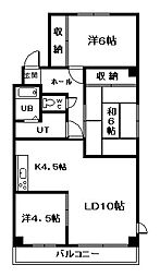5.3ハイム