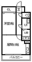 コートライベル
