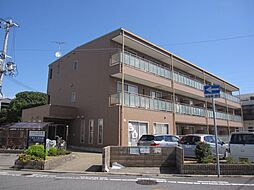 パストラル和 102