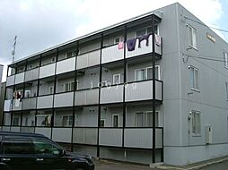 ゴールドハイツ 203