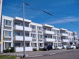 アミューズメントハイツ 101