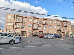 ノルテアスセーナ 302