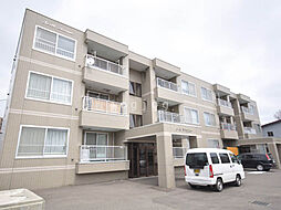 ノースアヴェニュー 305