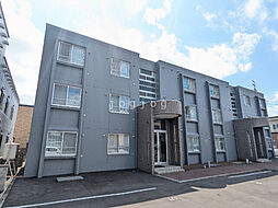 フォーエバーハピネス 202