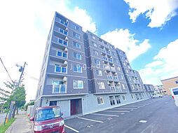 Ｓｕｇａｒ　Ｒａｙ（北19東5ＭＳ） 305