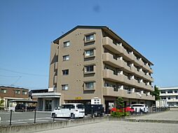 オリエンタルコート 406