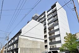 ルミウス黄金 510