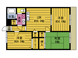 アラーネ16 205