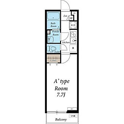 リブリ・ツヴァイテンス 206