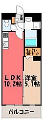 Y&M シャルールハイム