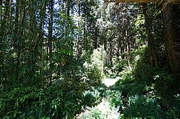 小山田町 売土地