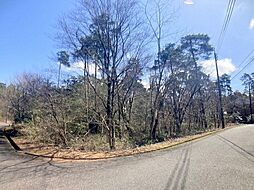 売土地（別荘用地）